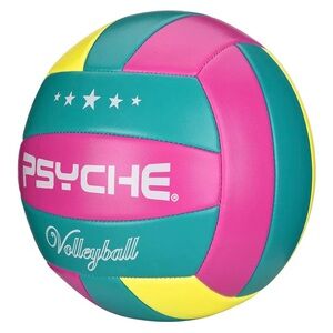 Psyche Multicolor Volleyball